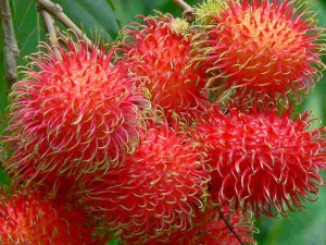 Natural Gifts from Famous Fruits of Southern Vietnam