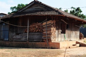 The custom cutting wood “caught husband” of ethnic people Je-Trieng in Kon Tum