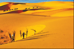 The Sand Dunes of Mui Ne