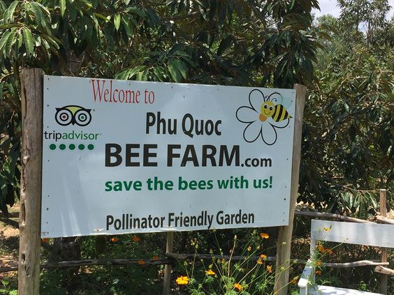 Phu Quoc farm- the place to enjoy organic and fresh tropical fruit, to taste and buy pure raw honey at farm, to have many drink with pure raw honey as coffee and cocktails.