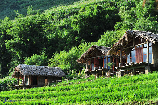 Homestay in Ta Van village, the opportunity to get close nature 