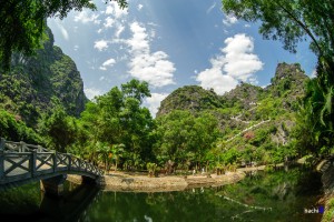 Dance Cave- Harvested Rice Fields of Tam Coc, Ninh Binh