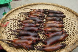 Top Weird Foods in Vietnam You Must Try